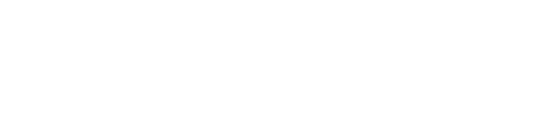 woody nelson-logo-white
